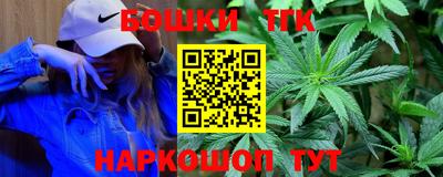 крисы Новозыбков