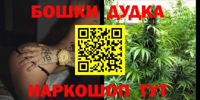 крисы Новозыбков