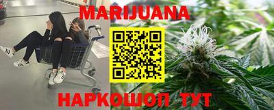 крисы Новозыбков
