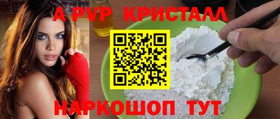 крисы Новозыбков
