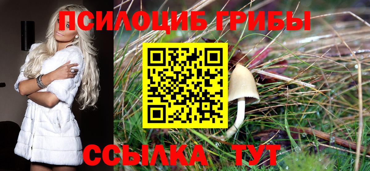 Псилоцибиновые грибы Psilocybine cubensis Рубцовск