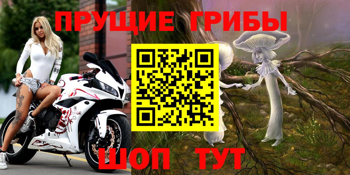 Рубцовск  Псилоцибиновые грибы прущие грибы  наркошоп  Вход с VPN  Псилоцибиновые грибы прущие грибы 